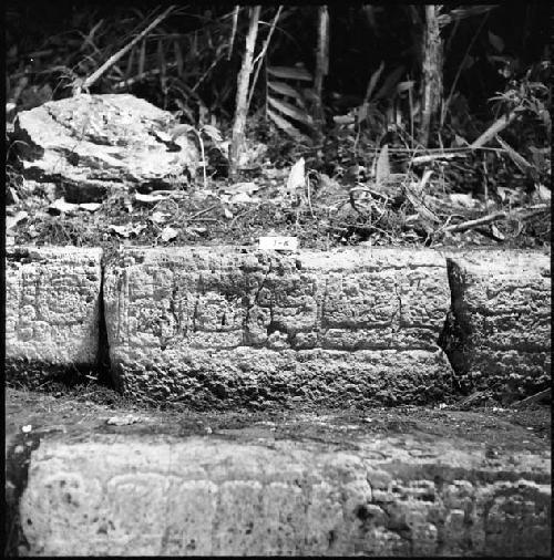 Stone from Hieroglyphic Stairway 1 of Structure 5 at Yaxchilan