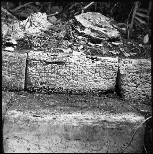 Stone from Hieroglyphic Stairway 1 of Structure 5 at Yaxchilan