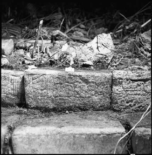 Stone from Hieroglyphic Stairway 1 of Structure 5 at Yaxchilan