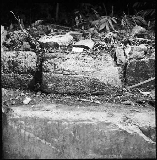 Stone from Hieroglyphic Stairway 1 of Structure 5 at Yaxchilan