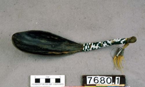 Spoon made of buffalo horn