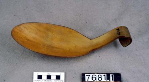 Spoon made of Rocky Mountain sheep horn