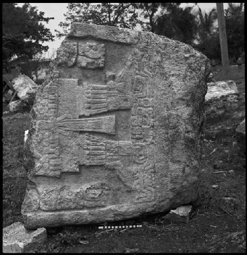 Stela 31 at Naranjo