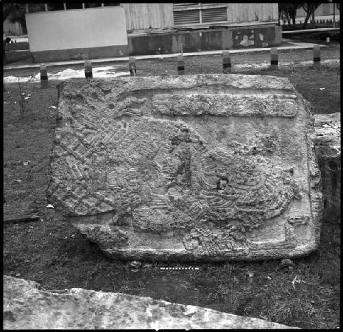 Stela 31 at Naranjo