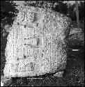 Stela 31 at Naranjo