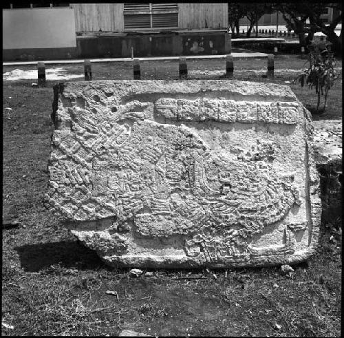 Stela 31 at Naranjo