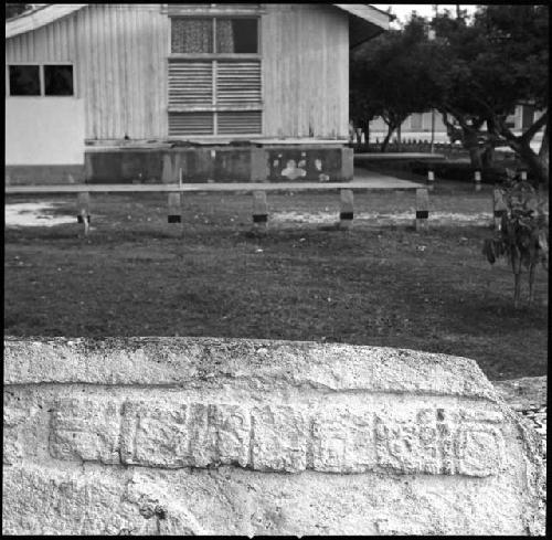 Stela 31 at Naranjo