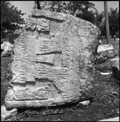 Stela 31 from Naranjo