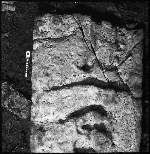 Stela 10 from Piedras Negras