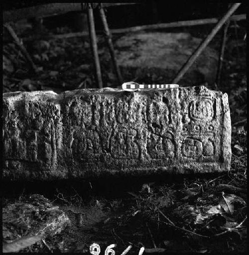 Stela 10 from Piedras Negras