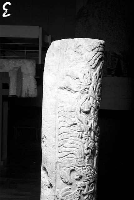 Sculpted column