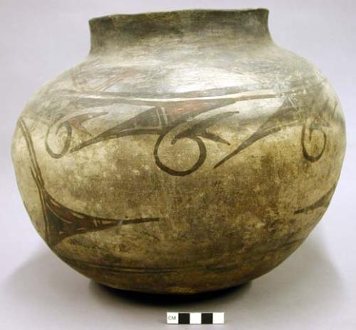 Jar, polacca polychrome style b, Zuni rain bird design. 26.5 x 32.8 cm.