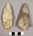 Stone projectile points