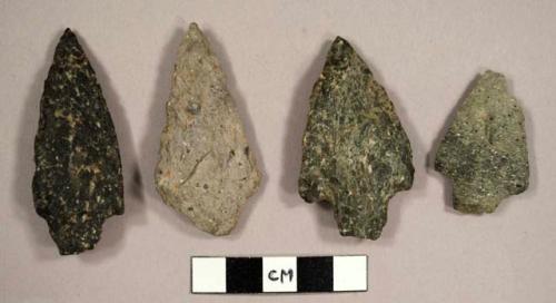 Stone projectile points, stark and neville types