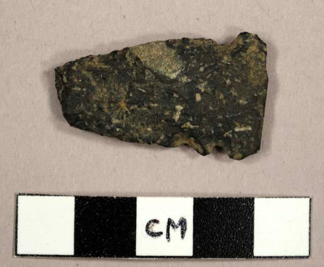 Stone projectile point, Meadowood type – Objects – eMuseum