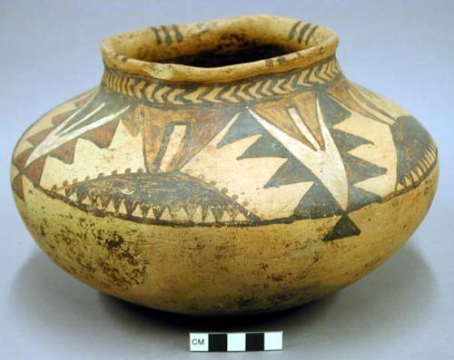 Jar, san bernardo polychrome. linear design.