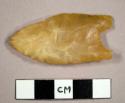CAST stone, projectile point, triangular