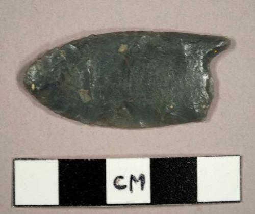 CAST projectile point, fluted