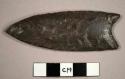 CAST, projectile point, fluted