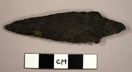 Stone projectile point, Stark type