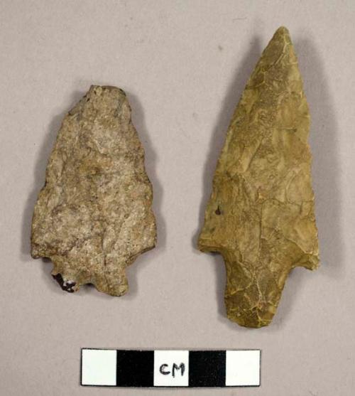 Stone projectile points, bi-furcate and neville types