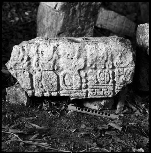 Stela 4 at Piedras Negras