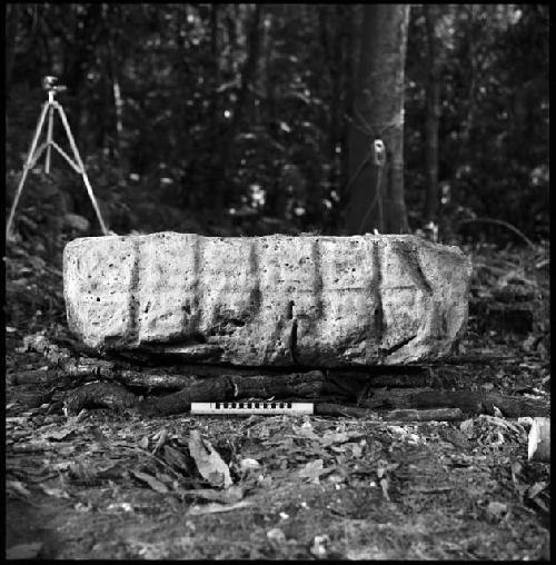 Stela 4 at Piedras Negras