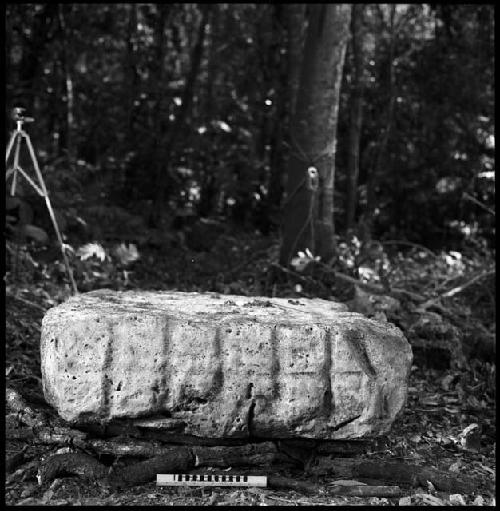 Stela 4 at Piedras Negras