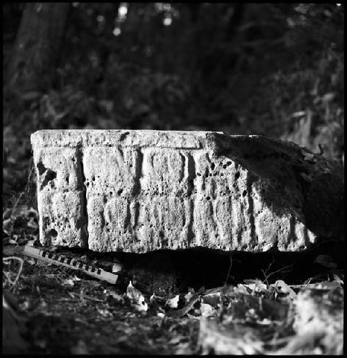 Stela 4 or 5 at Piedras Negras