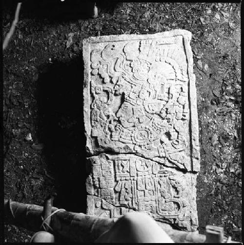 Stela 10 at Xultun