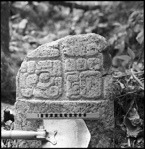 Fragment of Stela 9 at Piedras Negras