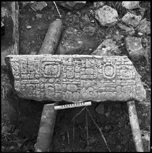 Fragment of Stela 9 at Piedras Negras