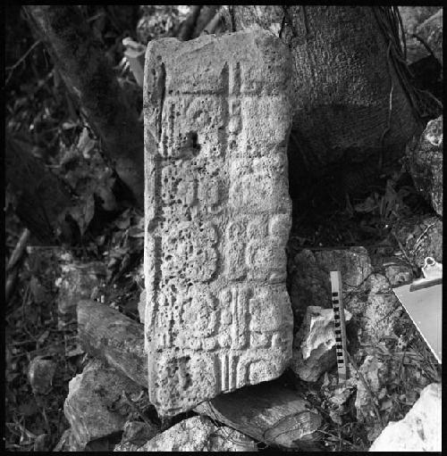 Fragment of Stela 9 at Piedras Negras