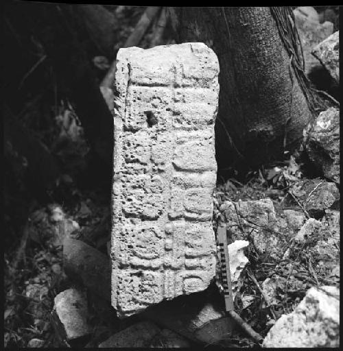 Fragment of Stela 9 at Piedras Negras