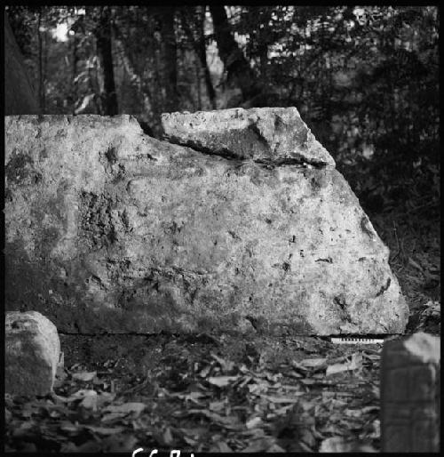 Stela 1 at Piedras Negras