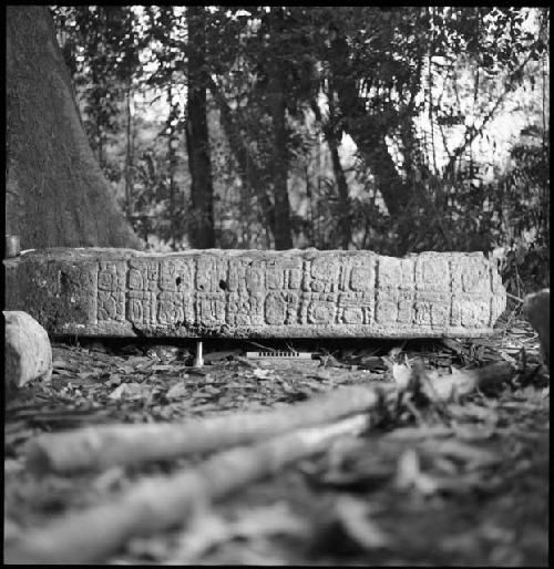 Stela 1 at Piedras Negras