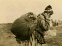 Montagnais woman carrying bed boughs
