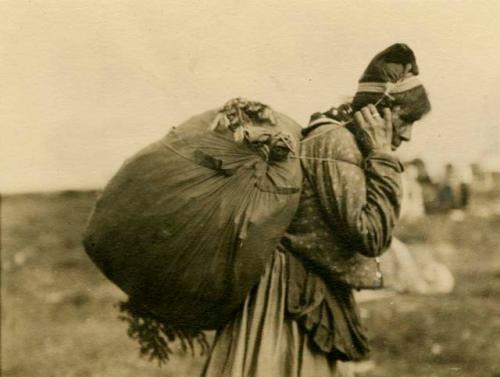 Montagnais woman carrying bed boughs
