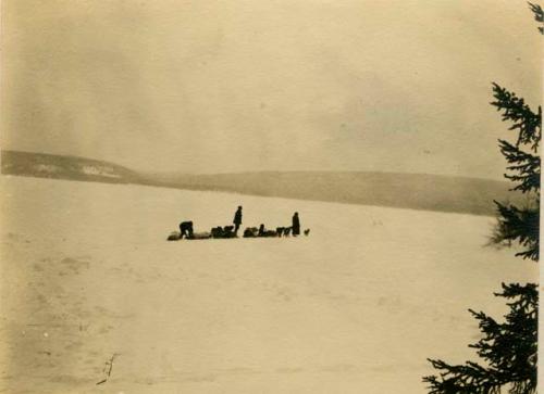 Three people leading loaded sleds pulled by dogs