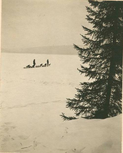 Two people leading loaded dog sleds across snow. Ashuapmouchan river