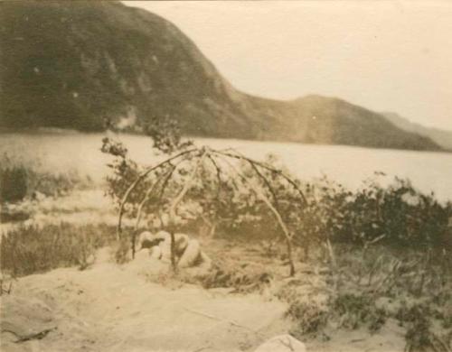 Green twig left on top to give slate by withering…poles of travelling lodge