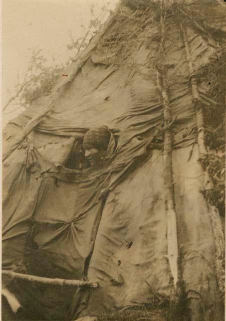 Two Naskapi women looking out of a teepee