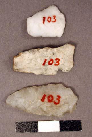 Stone projectile points