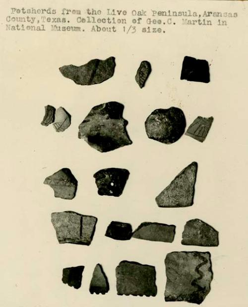 Potsherds from collection of Geo C Martin in National Museum