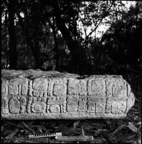 Stela 1 at Piedras Negras