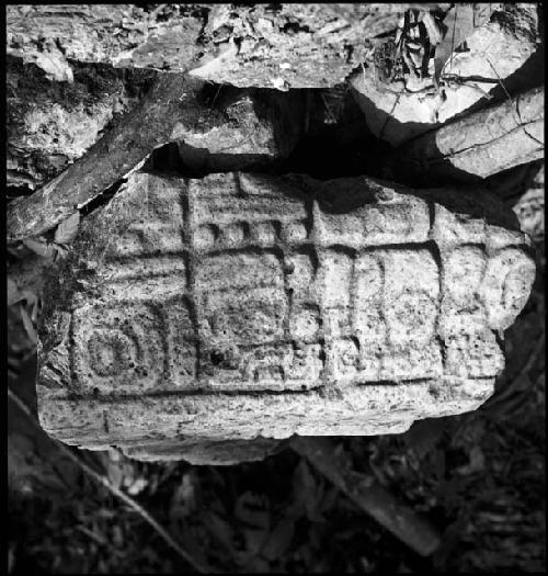 Stela 3 at Piedras Negras