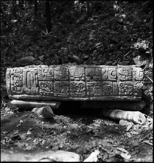 Stela 10 at Piedras Negras