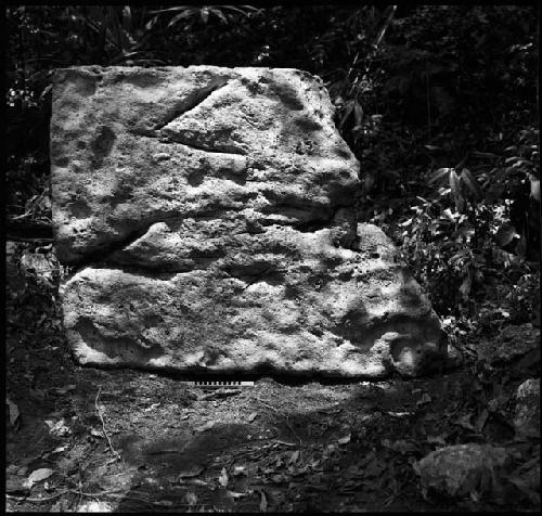 Stela 1 at Piedras Negras