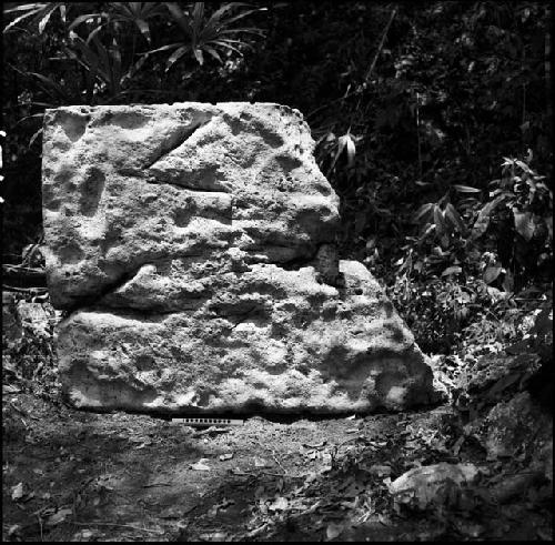 Stela 1 at Piedras Negras