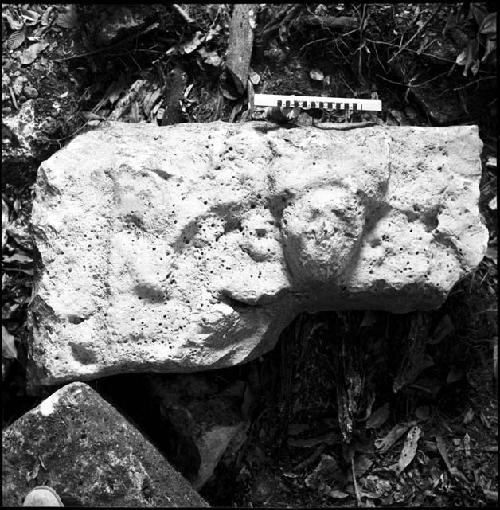 Stela 3 at Piedras Negras